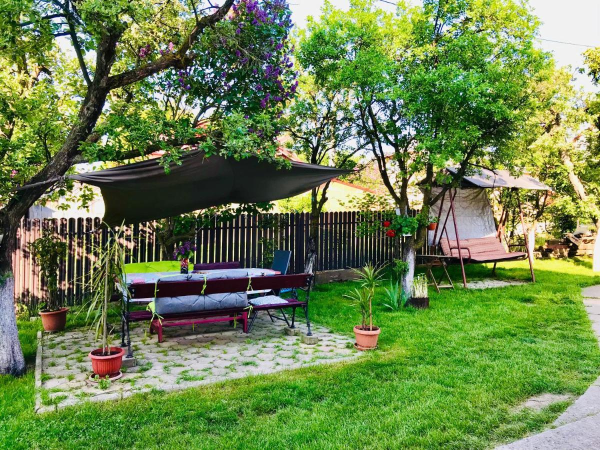 Apartament Vica Hura-Humora Exteriér fotografie